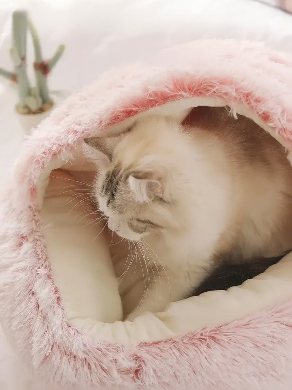 FLUFFY BED WITH HOODED COVER – SOFT DONUT NEST FOR CATS & SMALL DOGS