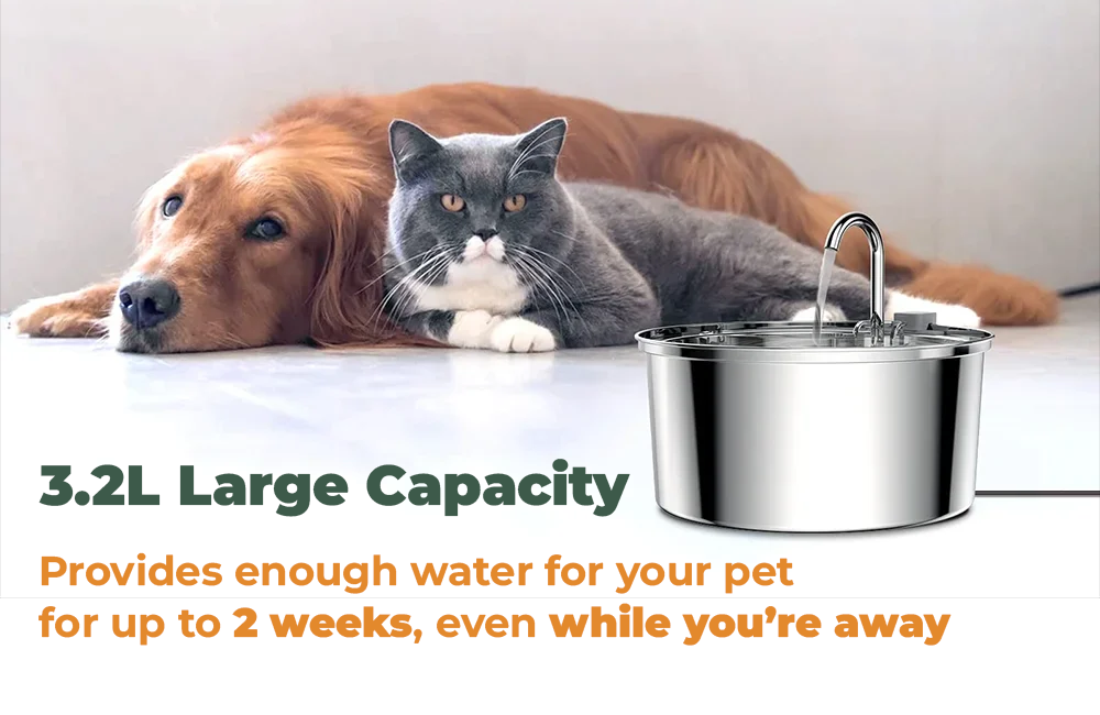 STAINLESS STEEL 3.2L PET WATER FOUNTAIN