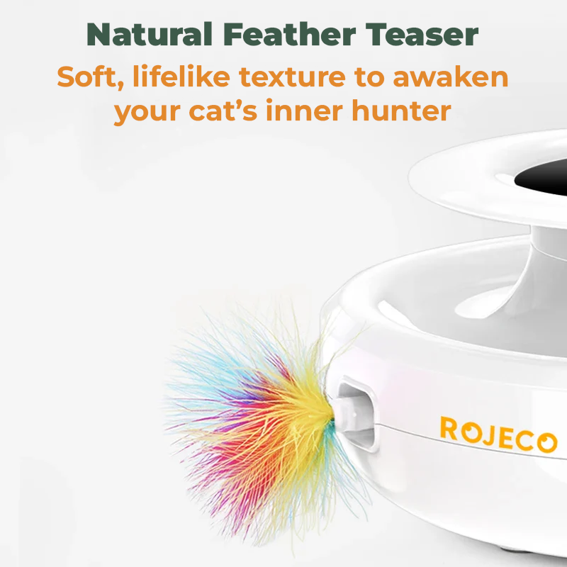 INTERACTIVE 2-IN-1 CAT TOY WITH FEATHER & LED BALL