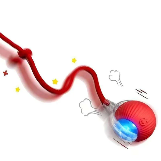 SMART INTERACTIVE ROLLING BALL TOY