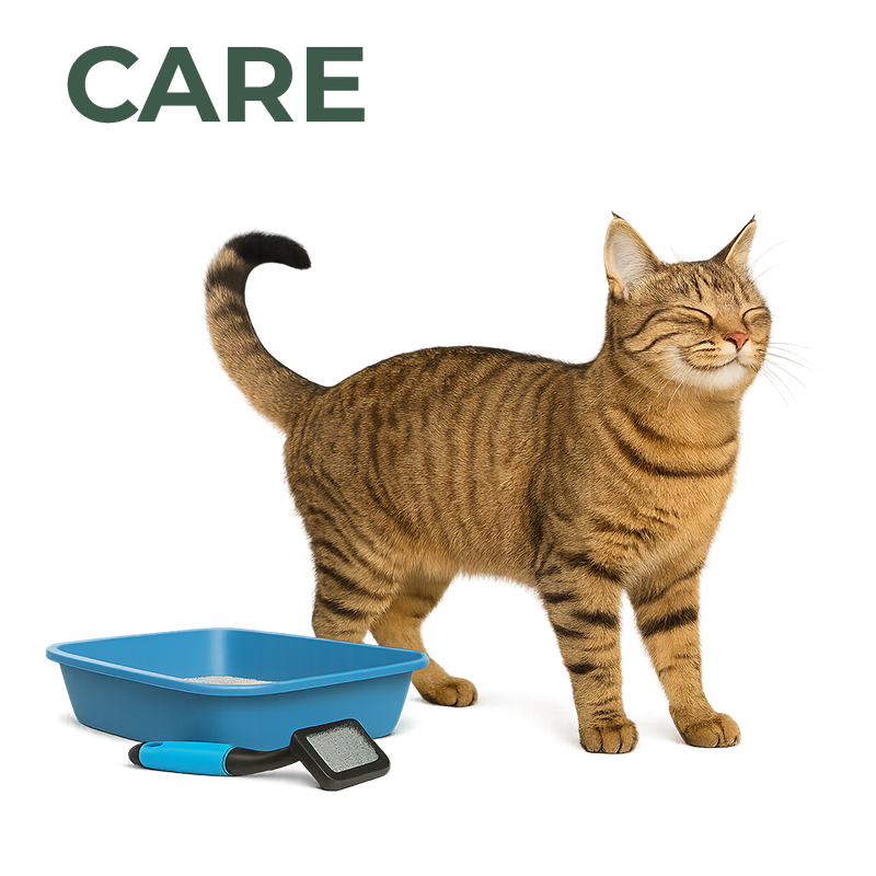 Cat Care & Litter