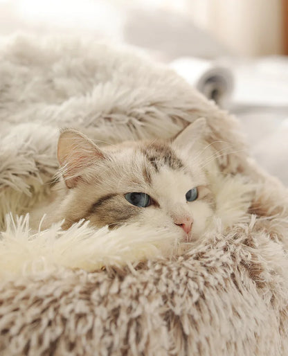 FLUFFY BED WITH HOODED COVER – SOFT DONUT NEST FOR CATS & SMALL DOGS