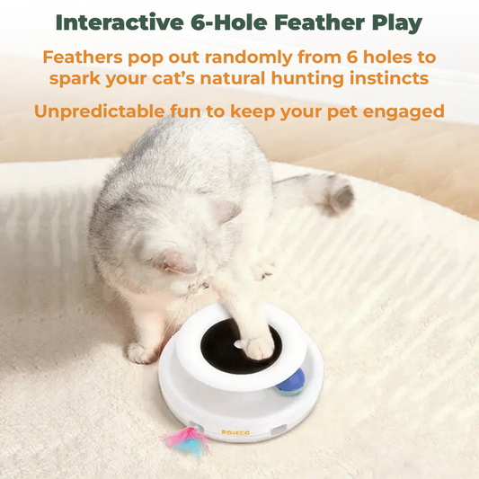 INTERACTIVE 2-IN-1 CAT TOY WITH FEATHER & LED BALL