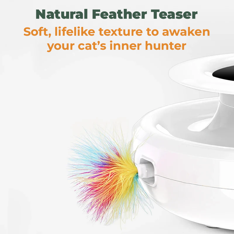 INTERACTIVE 2-IN-1 CAT TOY WITH FEATHER & LED BALL