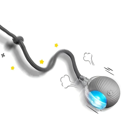 SMART INTERACTIVE ROLLING BALL TOY